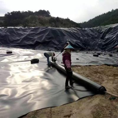 China HDPE industrial geomembrane artificial lake plastic reservoir dam lining swim pool fish pond farm liner for sale