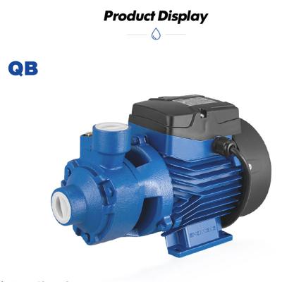 China Low Noise QB70 SPM550 Customized Logo High Pressure Pump Surface Water Pump Motor For Water Supply for sale