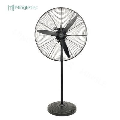 China Outdoor Heavy Duty Copper Motor 20 26 30 Inch Crown Fan Stan Fan Industrial Wall Fan With 3 Speeds for sale