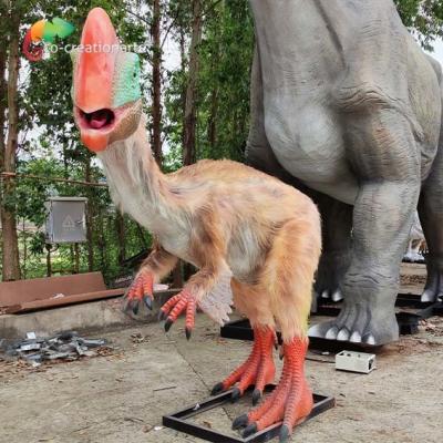 China Künstlicher Dinosaurier Sun Oviraptor-Modell-Realistic Animatronic Dinosaurs beständig zu verkaufen