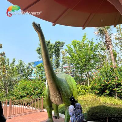 China High Durability Fiberglass Dinosaurs Customized For Outdoor zu verkaufen