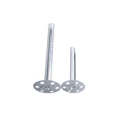 China Non-polluted 304 316 Stainless Steel Wall Plug Nylon Anchor Galvanized Nails Custom Press On Concrete Steel Insulation Nail Insulation Nail for sale