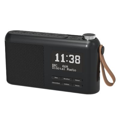 China FM DAB+ Visual Radio LCD Display OEM Information BT Tooth Speaker Portable Blue Leather Strap for sale