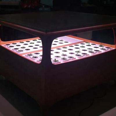 China Home Use Morden Wooden Hydroponics Led Growing Table for sale