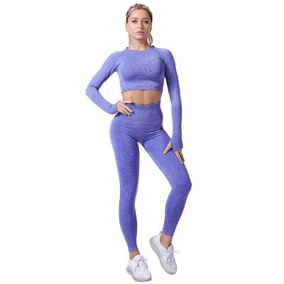 China Antibacterial Women Seamless 3 Piece Yoga Set Sports Wear Solid Color Gym Tracksuit Long Sleeve Seamless Yoga Wear Fitness Clothing for sale