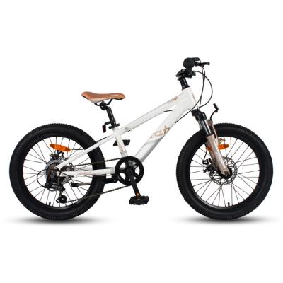 China Mountain bike for kids 20 inch aluminum alloy frame shock fork sports kids bike 7 speed kids mountain bike for kids 10 years old for sale