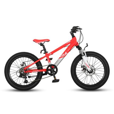 China Mountain Bike For Kids Bike Factory OEM 20 Inch Alloy Girls Mountain Bike Bicycle For Young Girls Children Kids 10 Years Old for sale