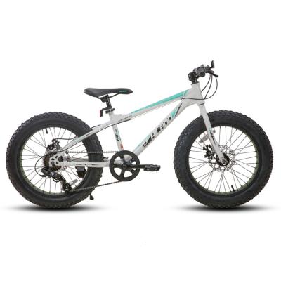 China High quality 20 inch children's fat bike 7 speed tire speed cycle mountain bike for sale