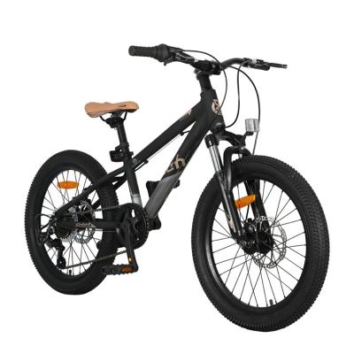 China Tending Kids Bike 20 Inch Aluminum Alloy Frame Fork Suspension Kids Bike Kids Mountain Bike for sale