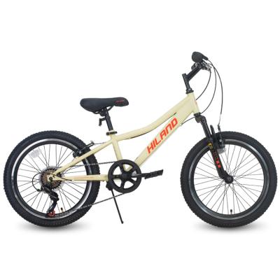 China popular 20 inch 6 speed fork suspension biciletas sport mtb kids mountain bike for boy girl for sale