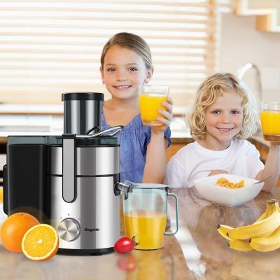 China Commercial Fruit Juice Extractor Slow Centrifugal Stainless Steel Fruit Squeezer Juicer For Fruit Vegetable for sale