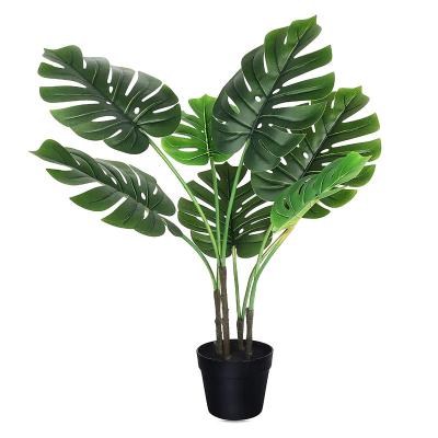 China Areca&Phoenix Touch Natrual Plant Artificial Decorative Plastic Greenery 85cm Wholesale Plastic Palm Tree In Pot for sale