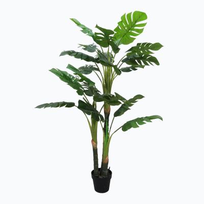 China 120-180CM Decorative Plastic Greenery Touch Natrual Artificial Plant Wholesale Plastic Tree In Pot for sale