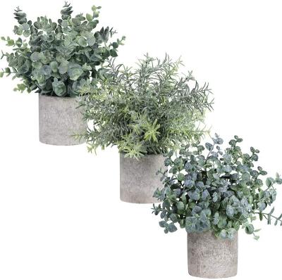 China Amazon Hot Selling Plastic Placed Table Rosemary Bonsai Artificial Eucalyptus Plants Desktop Decorative 3 Mini Potted Plastic Fake Plants for sale