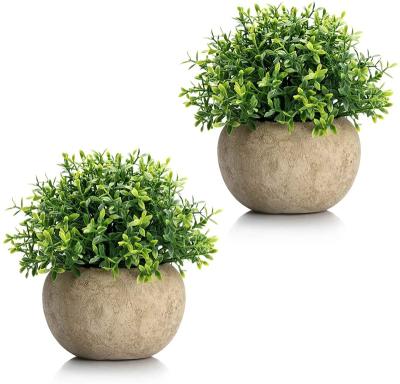 China Hot Array Plastic Rosemary Bonsai Artificial Eucalyptus Plants Desktop Decorative Mini Potted Plastic Fake Plants Selling From Amazon for sale