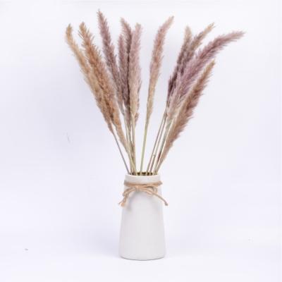 China Natural dry natural dry artificial fluffy pampas grass rose flowers home decor bouquet wholesale custom flower bouquet small for sale