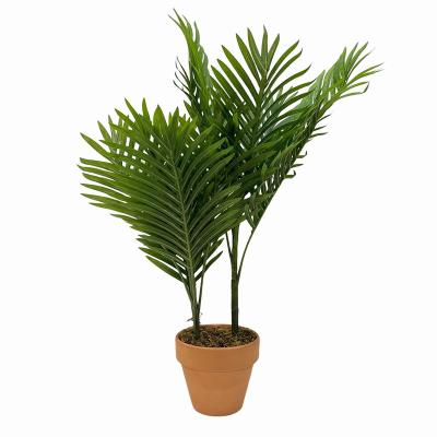 China Wholesale High Quality Plastic Potted Fern Plants 74CM High Indoor Artificial Plant For Indoor Garden Decor for sale