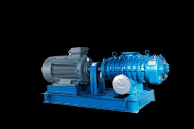 China Advanced Roots Vacuum Pumps for High Vacuum Extraction in Industrial Settings for sale