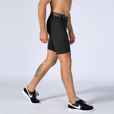 China Breathable Fashion Mens High Quality Sports Running Shorts With Pocket Mens Gym Shorts for sale