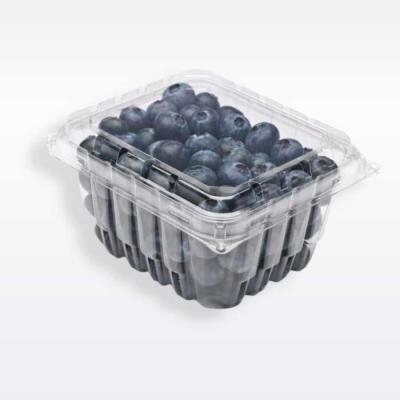 China Food Grade Recyclable Small Plastic Pet Containers for sale