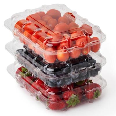 China 500 Gram Recyclable Disposable Plastic Pet Fruit Packing Clear Grape Clam Shell Container for sale