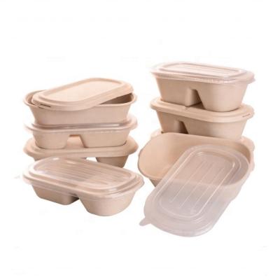 China Home.Restaurant.Bar.Hotel.Wedding 1000Ml Two To Go Bento Lunch Box Eco-friendly Disposable Biodegradable Cell Sugar Cane Food Container for sale