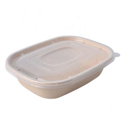 China Eco-friendly Disposable Cold Store Restaurant Coffee Drink Sugar Cane Food Container Disposable Take Away Lunch Box for sale