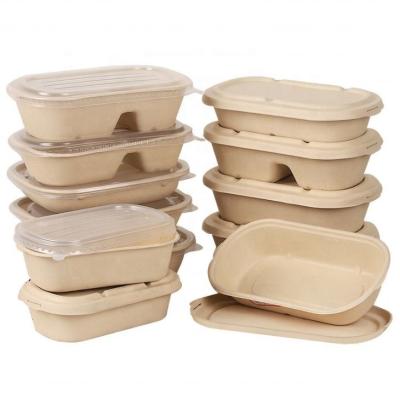 China Home.Restaurant.Bar.Hotel.Wedding 500Ml To Go Lunch Box Disposable Biodegradable Sugarcane Pulp Takeout Biodegradable Food Container for sale