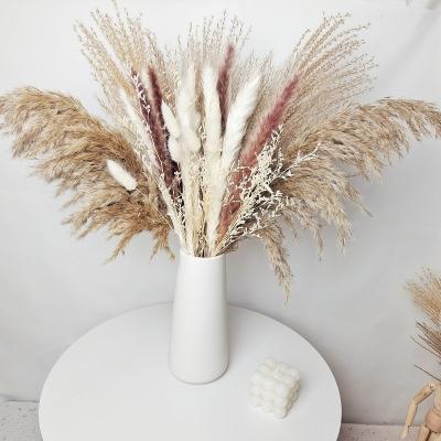 China Wholesale Durable New Product 40 Pcs Boho Dried Flower Reed Bouquet Pampas Bouquet for sale