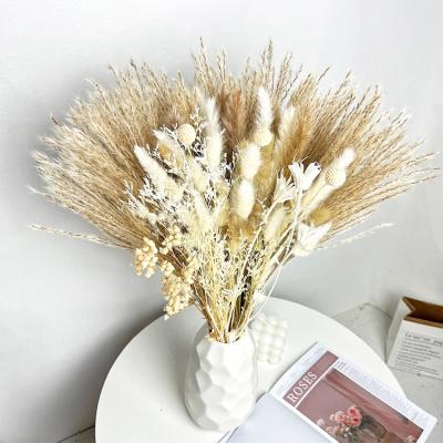 China Wedding Party Store Home Decor Customized 50 Pcs Pampas Bouquet Natural Pampas Grass For Dried Flower Arrangements for sale