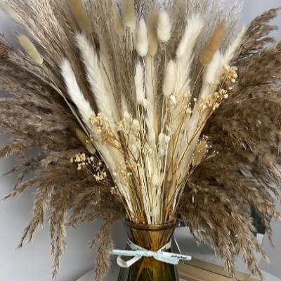 China Clearance 65PCS Lasting Cheap Price Natural Boho Mix Pampas Grass Mini Dried Dried Flower Bouquet for sale