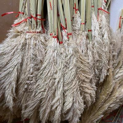 China Natural Touch Amazon Factory Wholesale Dried Flowers High Quality Natural Dried Grass Reed Dry Pampas Large Set Decor for sale