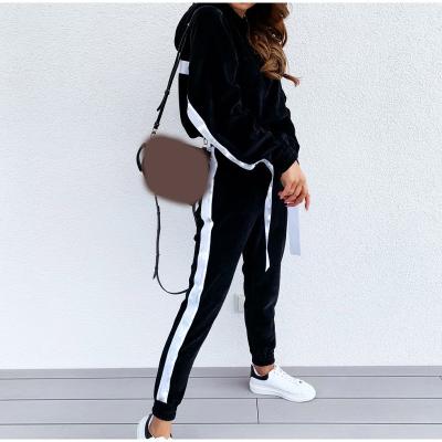 China Anti-pilling Autumn/Winter Women's Sportswear Long Sleeve Pure Hooded Sweatshirt Jogging Color Pants Set for sale