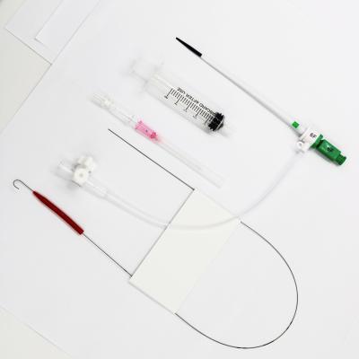 China Estabish Channel to Coronary Artery Ortus 6F 7F Femoral/Radial Invasive Introducer 8F Kit with Dilator, Guide Wire, Seldinger Needle for sale