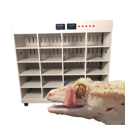 China Breathable New PVC intelligent double temperature control pet cage guard ciliary horn lizard gecko reptile breeding room for sale