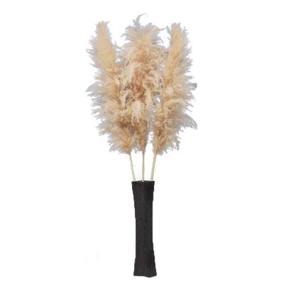 China Wholesale Fast Delivery High Quality Dried Flowers Decoration Bunny Tail Dried Flower for sale