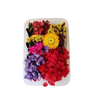 China Newest Transitional Fashion Dried Flower Bouquet Gift Set Fashion Dried Flowers For Gift Wrapping for sale