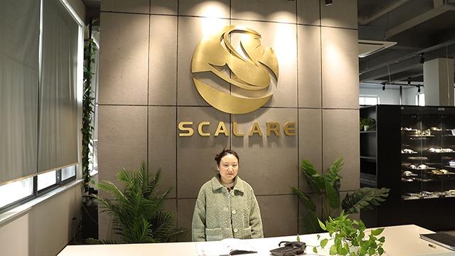 Verified China supplier - Jiaxing Scalare Lighting & Electrical Co., Ltd.