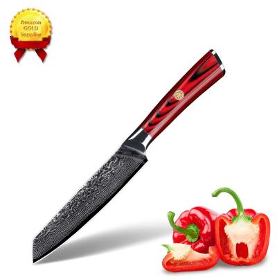 China SkyCook Disposable Produced 5 Inch Damascus Knife vg10 Custom 67 Layer Japanese Kitchen Knives for sale