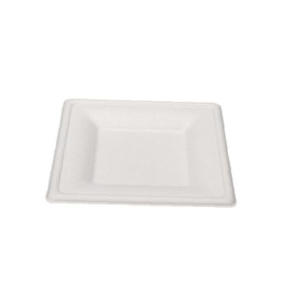 China 2021 Hot Sale Restaurant Disposable White Disposable Dish Eco - Friendly for sale