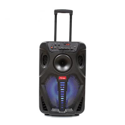 China Best wireless popular car speaker 12inch model equipo de sonido para de cart with wireless microphone for sale