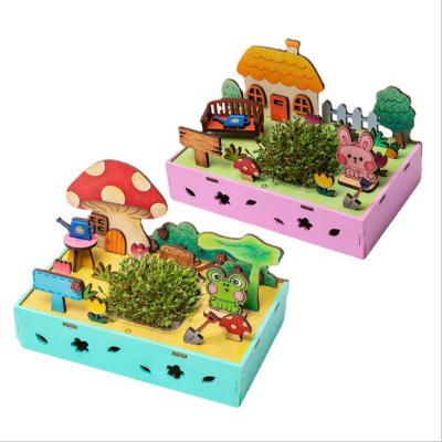 China Antique Imitation Diy Planting Growing Garden Kit Puzzle Kit Gifts Toy Aviation Gifts Mini Bonsai Gift Box Diy for sale