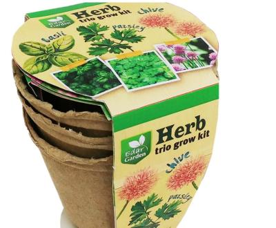 China American Style Herb Trio Fiber Grow Pots Household Grow Kit Plant Garden Pot Herb Planting Kit for sale