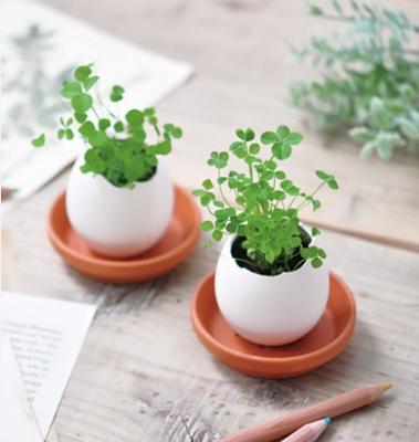 China American creative lucky gift grass green plant pot indoor mini small pot plant egg green plant gift Easter style lucky egg for sale