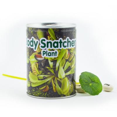 China flower & fruit & plant seeds sell Tin Can Plant Desktop Gift wholesale planting in Tin Can Herb Grow Kit for sale