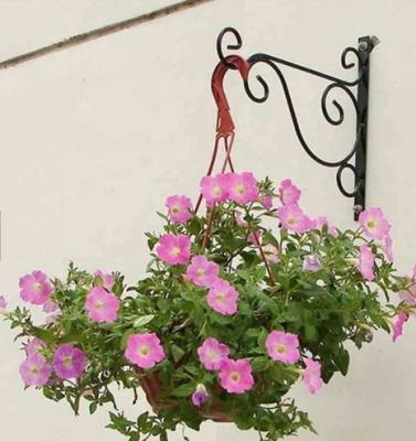 China Modern Hook Flower Rack Pot Hook Wrought Iron Frame, Iron Hook, Wall Hanging Basket Frame for sale