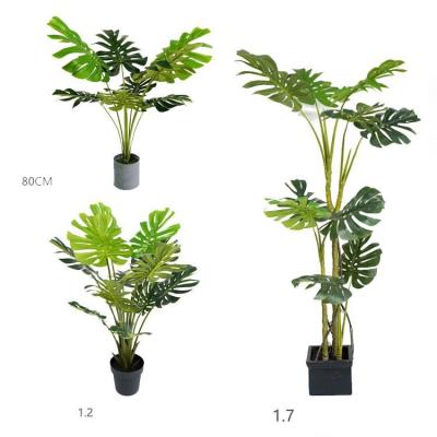 China New Living Room Country Plant Decoration Simulation Indoor Potted Turtle Back Tree Artificial Plant Bonsai for sale