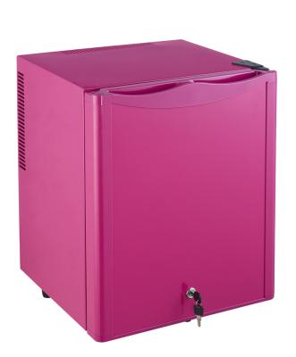 China 25L Thermoelectric small refrigerator cosmet mini fridg THERMOELECTRIC for home use for sale