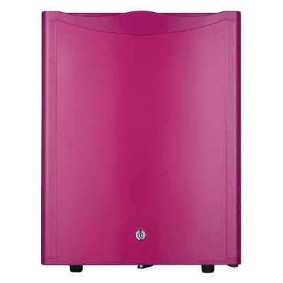 China Amazon THERMOELECTRIC Fridge Warm Home Custom 25 Liter Hotel Mini Bar Fridge Mini Fridge for sale