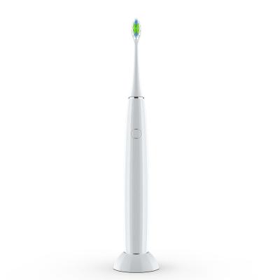 China ABS+TPE Wholesale Fall Resistant High Frequency Vibration Smart Adult Electric Toothbrush for sale